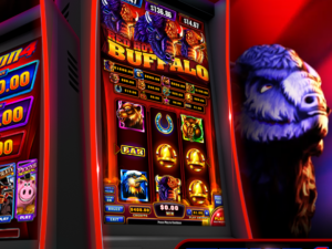 RED HOT BUFFALO 300x225 1